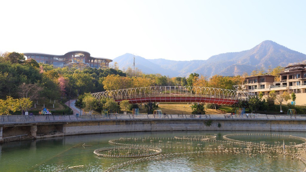 2023年春节风景随拍