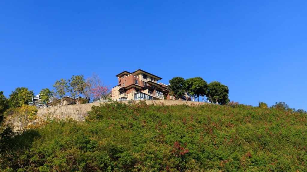 2023年春节风景随拍