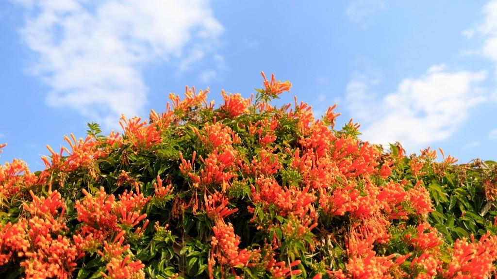 2023年春节风景随拍