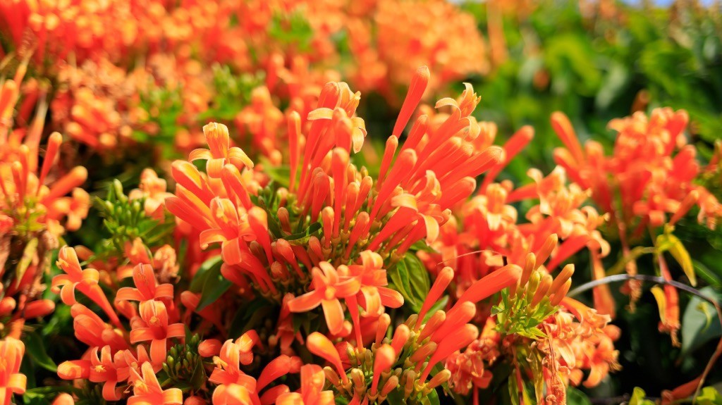 2023年春节风景随拍