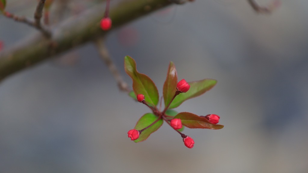 2023年春节风景随拍