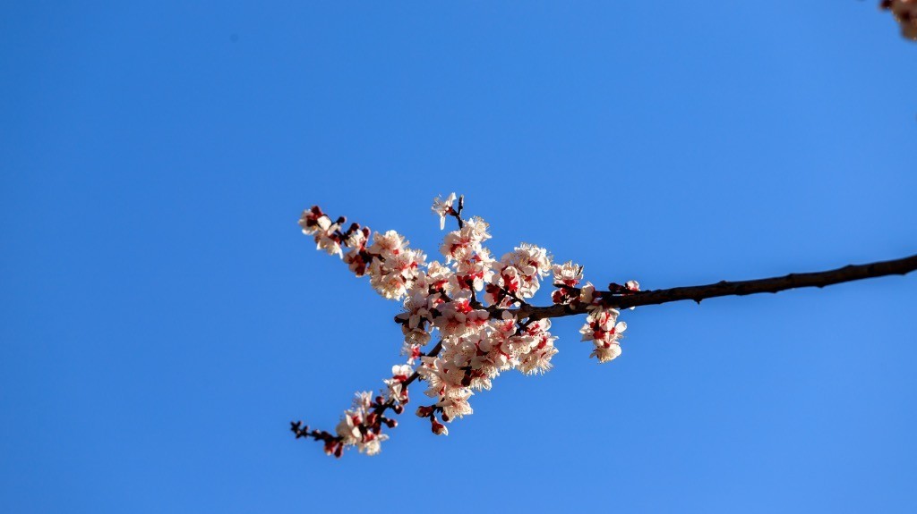 2023年春节风景随拍