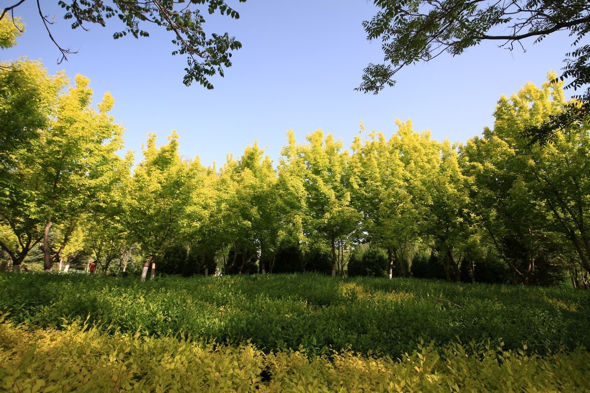 无敌兔真是部好相机！