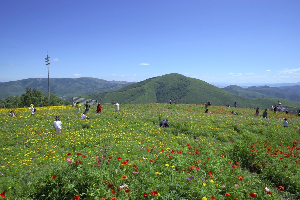 2023——河北省崇礼太舞小镇，到达山顶，这里的风景独好