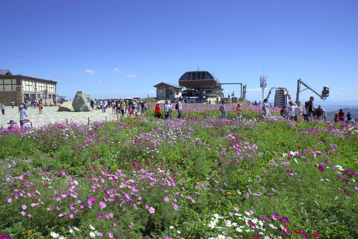 2023——河北省崇礼太舞小镇，到达山顶，这里的风景独好