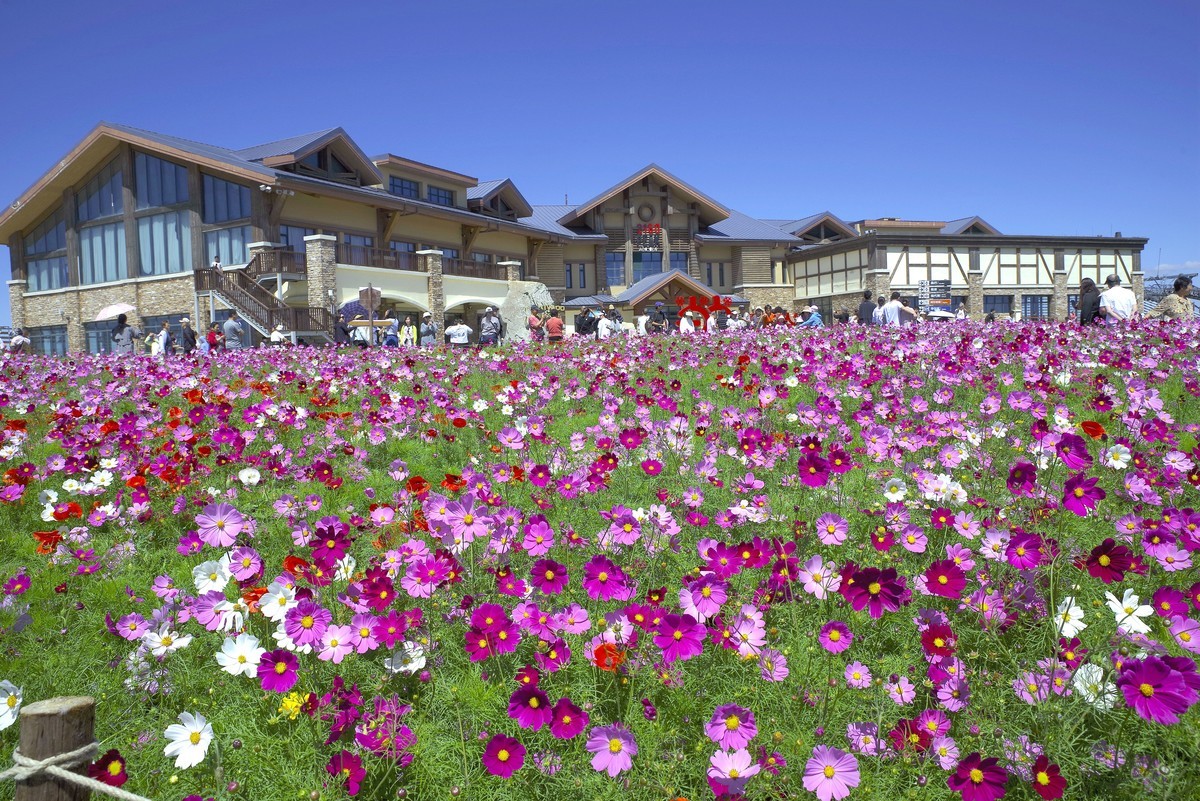 2023——河北省崇礼太舞小镇，到达山顶，这里的风景独好