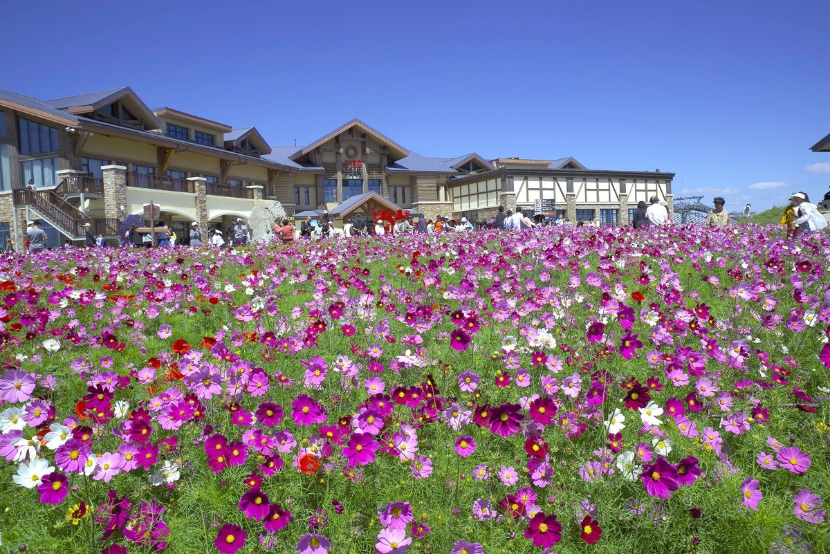 2023——河北省崇礼太舞小镇，到达山顶，这里的风景独好