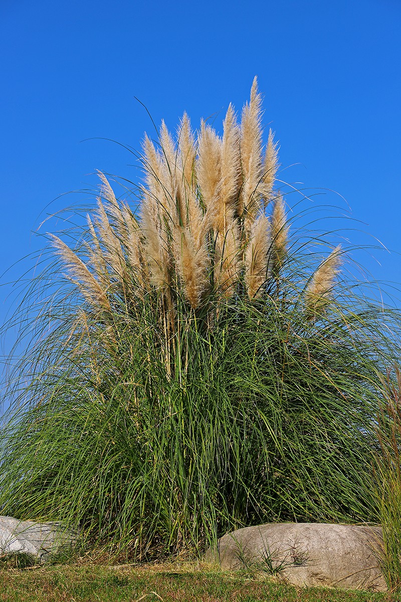 汉风起兮城    长安未央宫