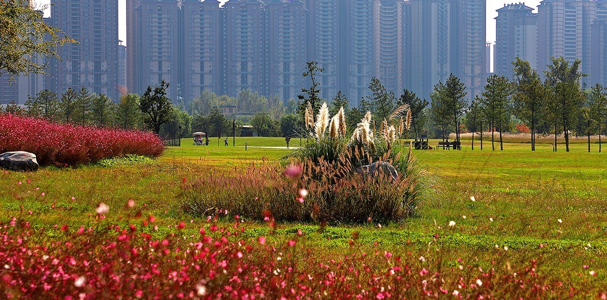 汉风起兮城    长安未央宫