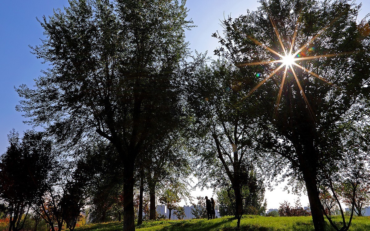 汉风起兮城    长安未央宫