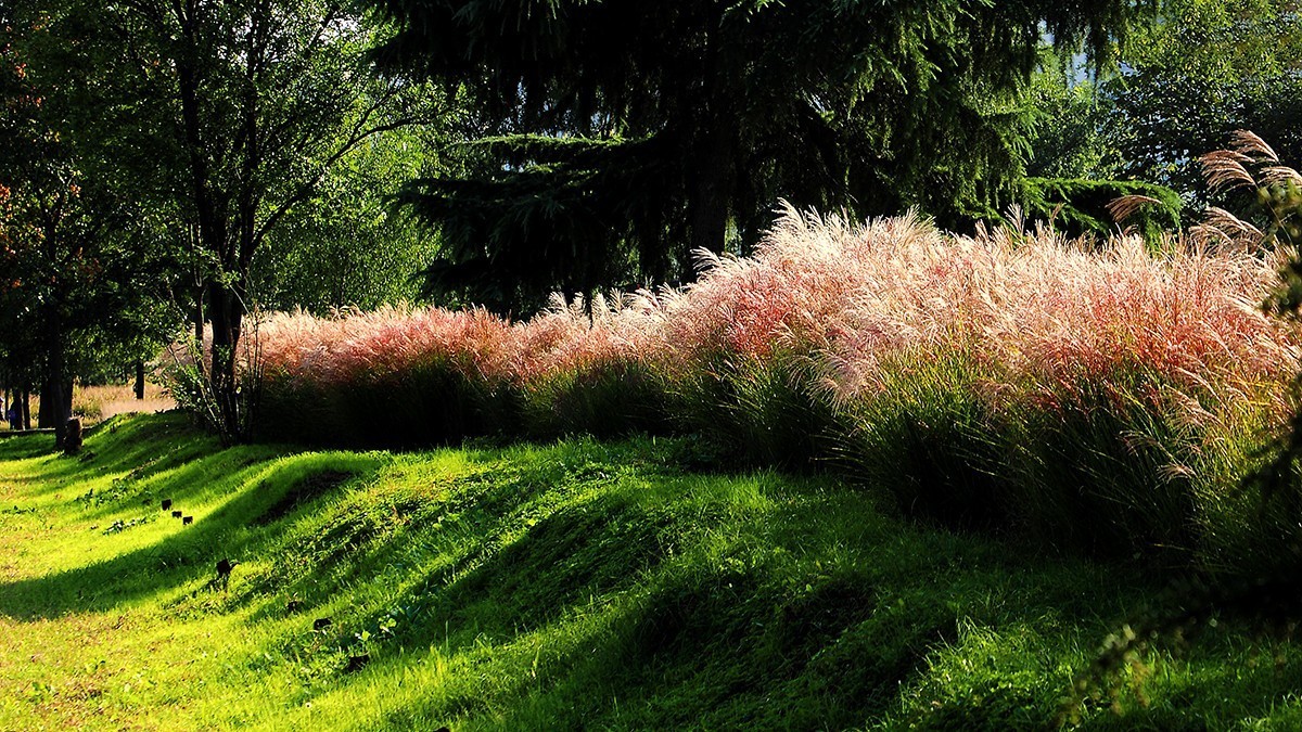 汉风起兮城    长安未央宫