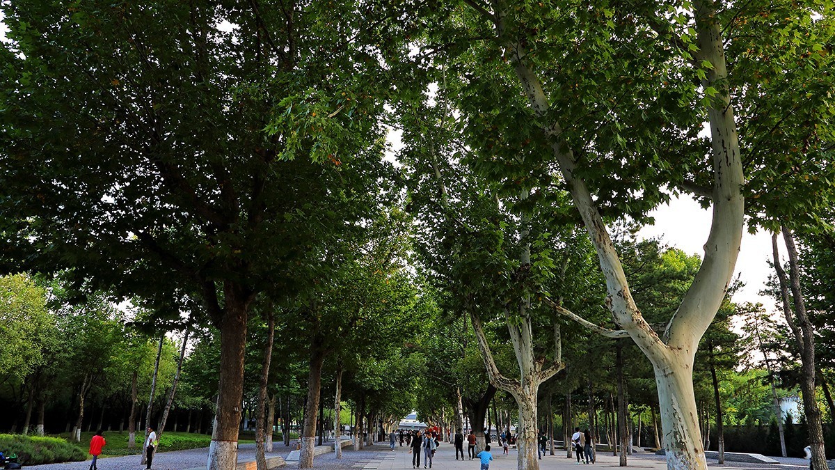 汉风起兮城    长安未央宫