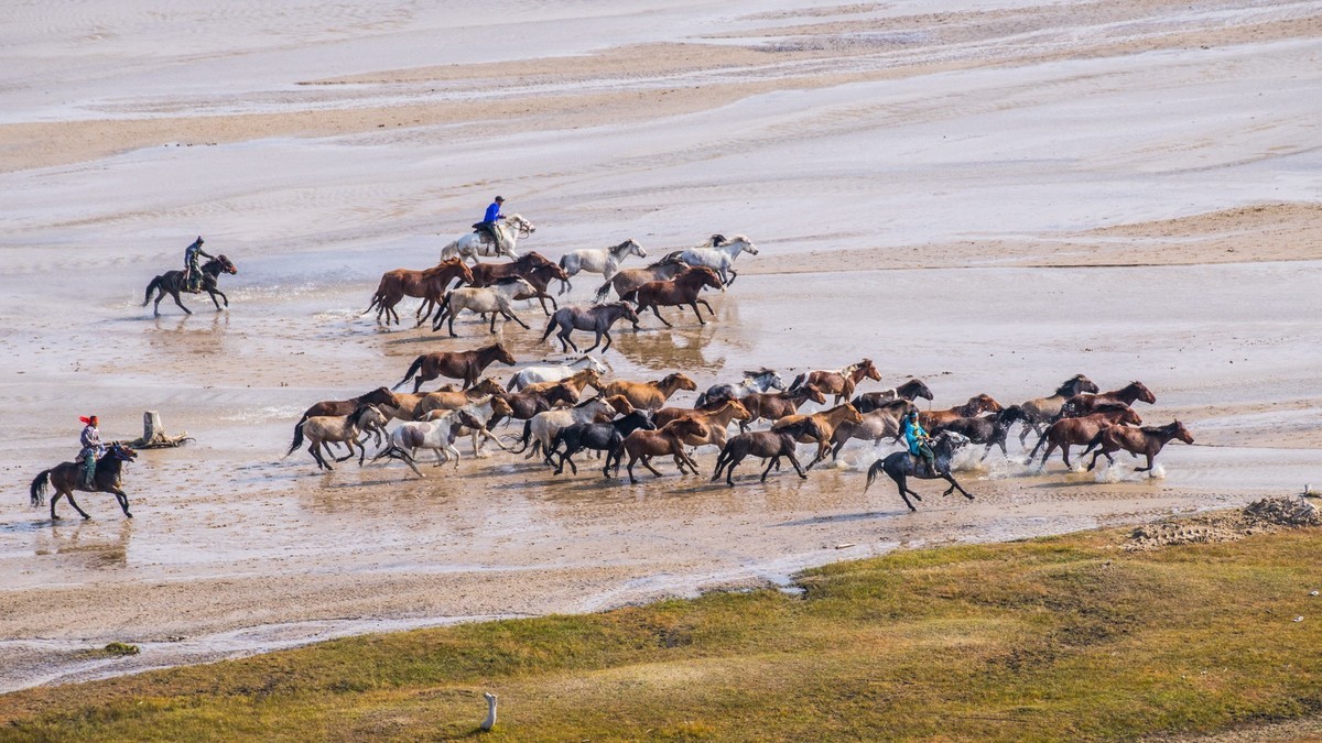克旗天太永奔马