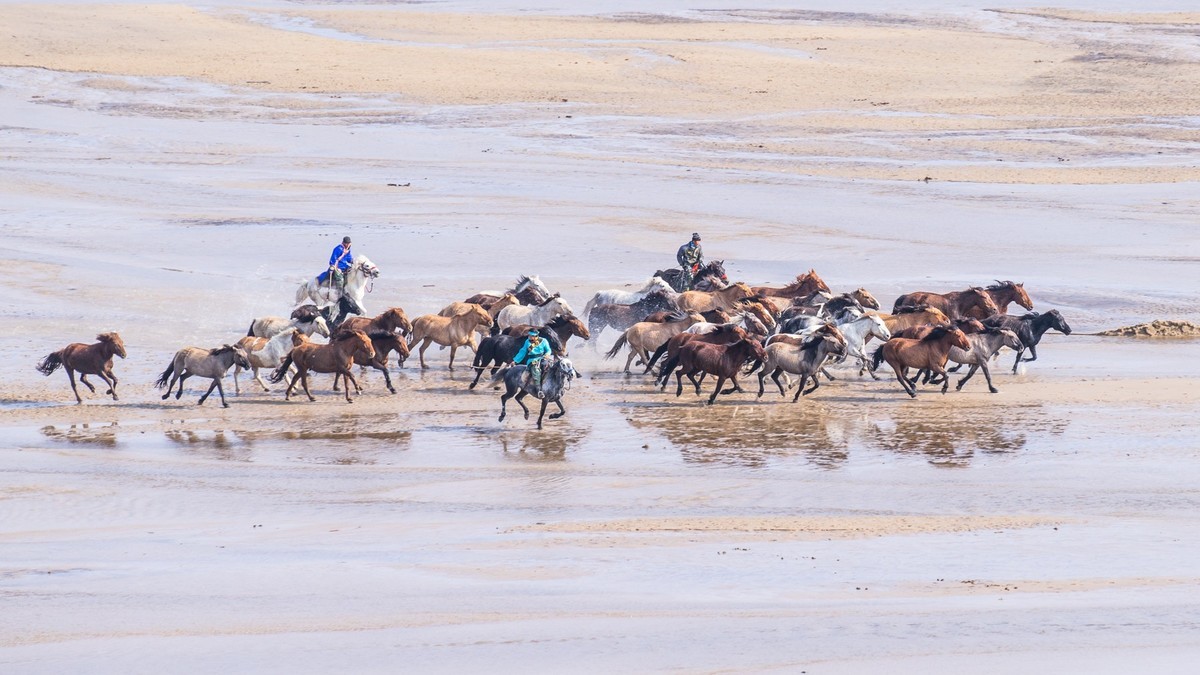 克旗天太永奔马