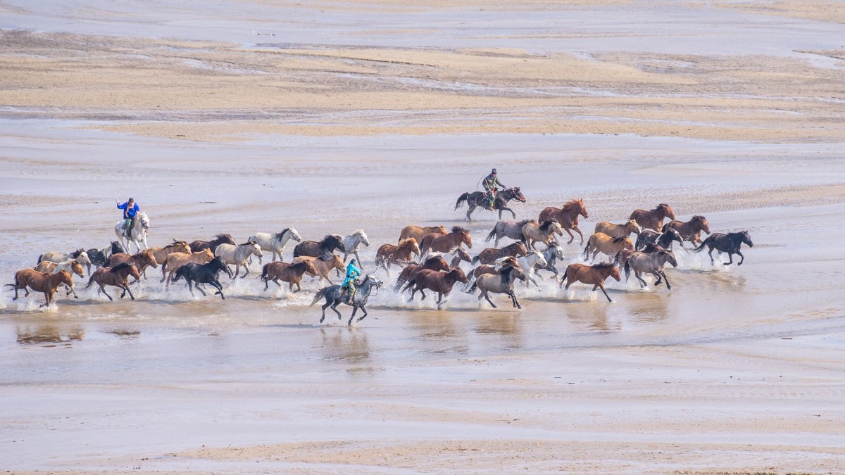 克旗天太永奔马