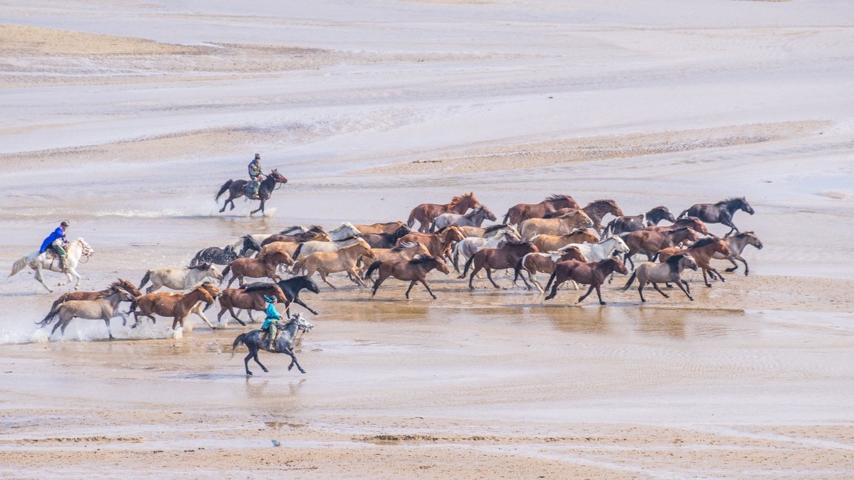 克旗天太永奔马