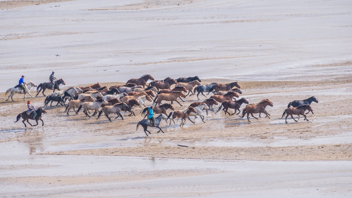克旗天太永奔马