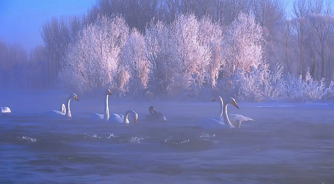 迎接2024元旦的曙光！