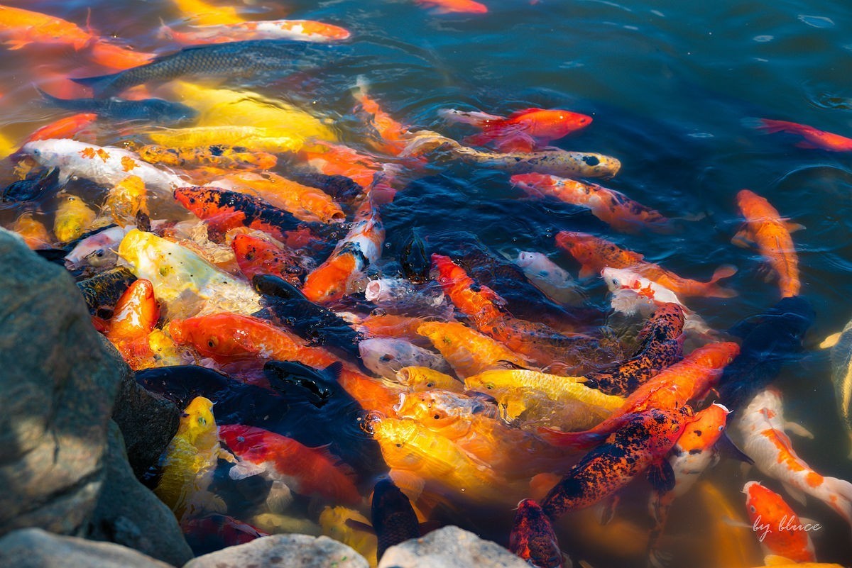 【连云港旅行纪实】花果山（1）