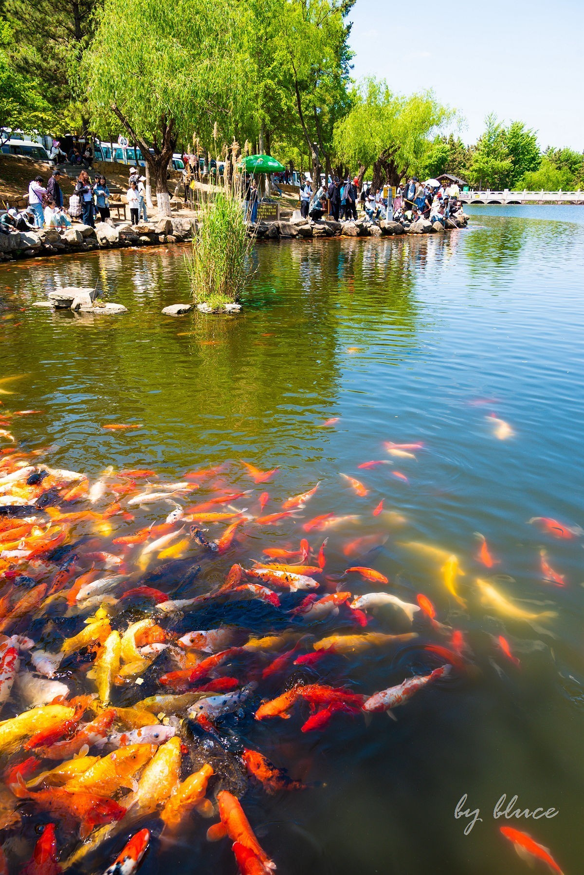 【连云港旅行纪实】花果山（1）