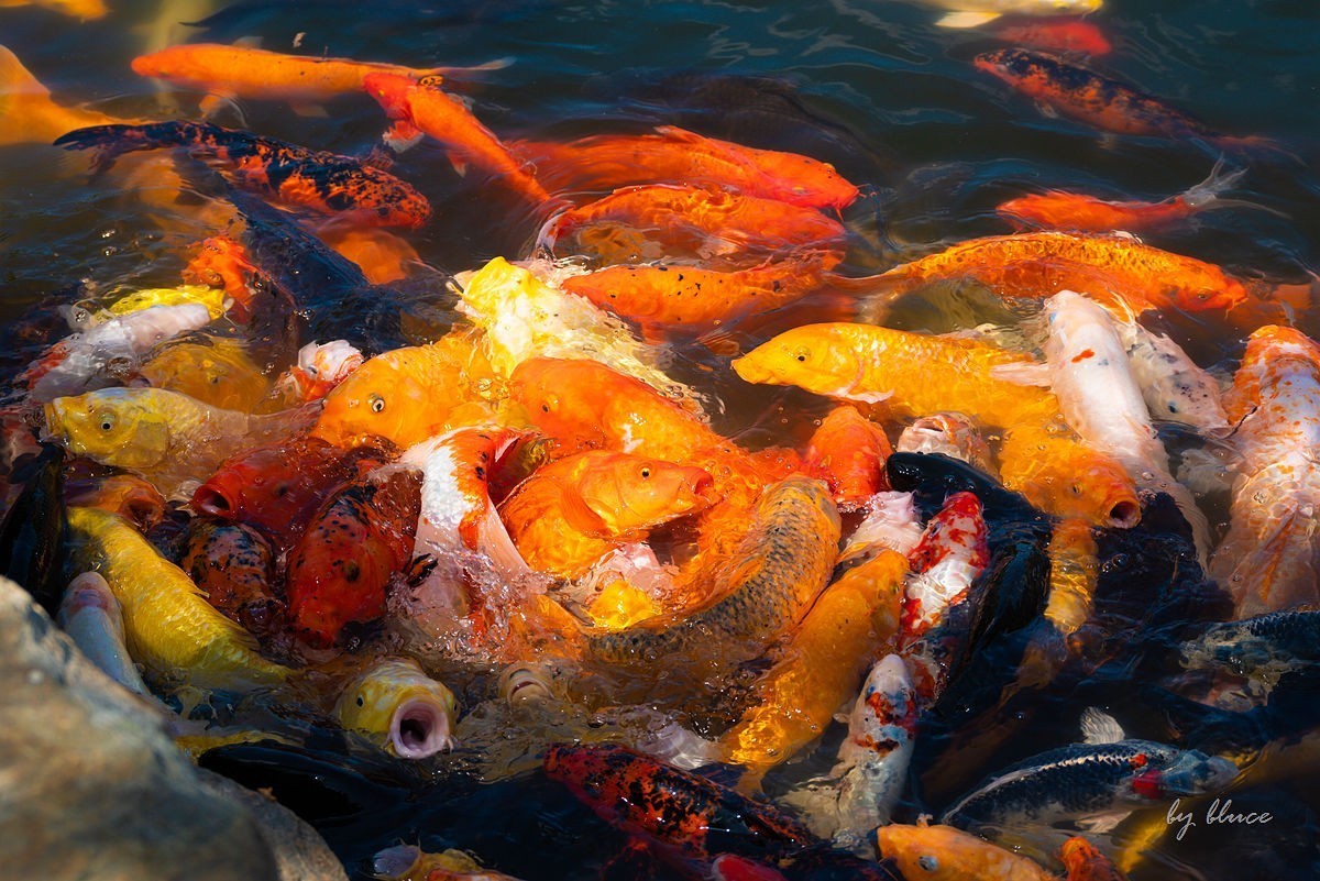 【连云港旅行纪实】花果山（1）