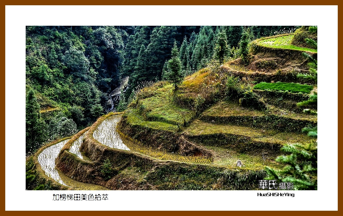 2021南行慢游（贵州077）—加榜梯田美色拾萃之三（黔东南州从江县）