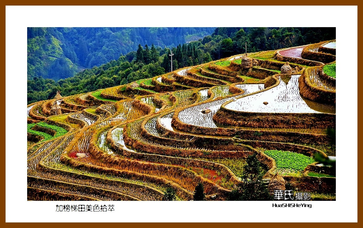 2021南行慢游（贵州077）—加榜梯田美色拾萃之三（黔东南州从江县）