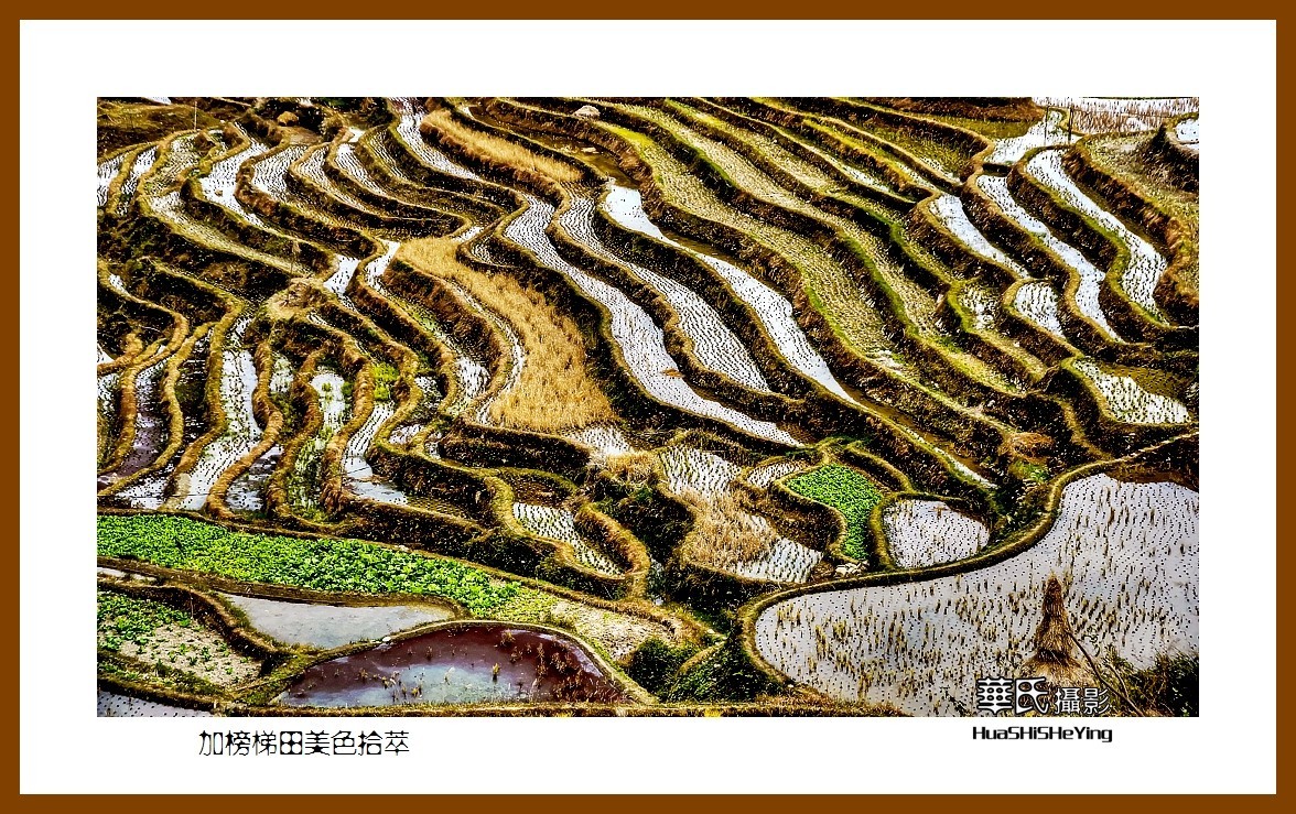 2021南行慢游（贵州077）—加榜梯田美色拾萃之三（黔东南州从江县）