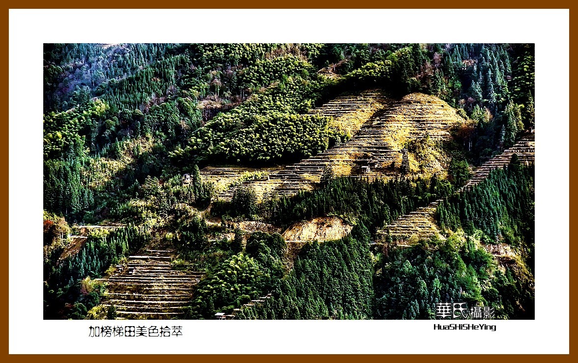 2021南行慢游（贵州077）—加榜梯田美色拾萃之三（黔东南州从江县）