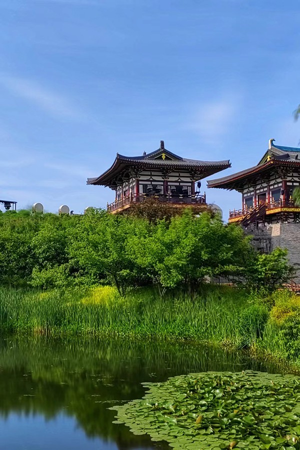 襄阳盛世唐城（请假）