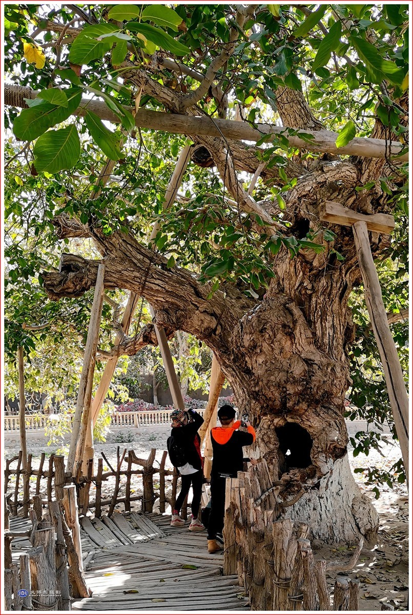 2024-（200）全国文明村恰勒瓦西（一）