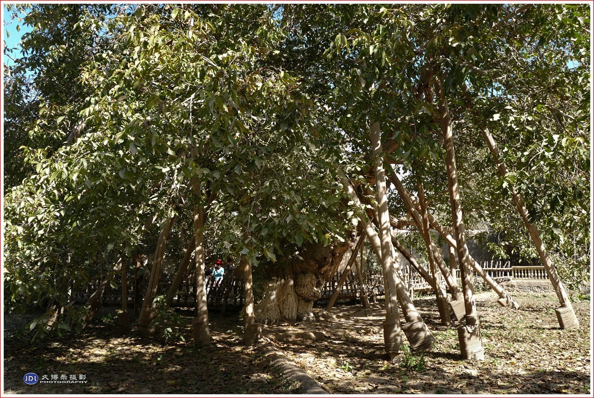 2024-（200）全国文明村恰勒瓦西（一）