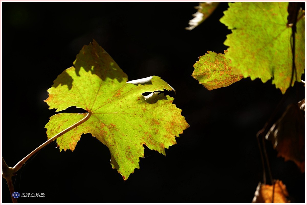 2024-（201）全国文明村恰勒瓦西（二）