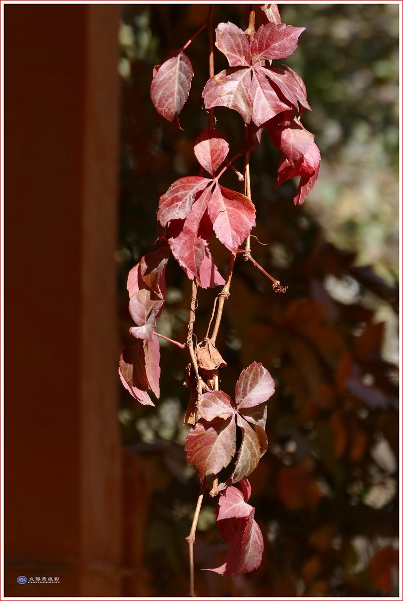 2024-（204）全国文明村恰勒瓦西（五）