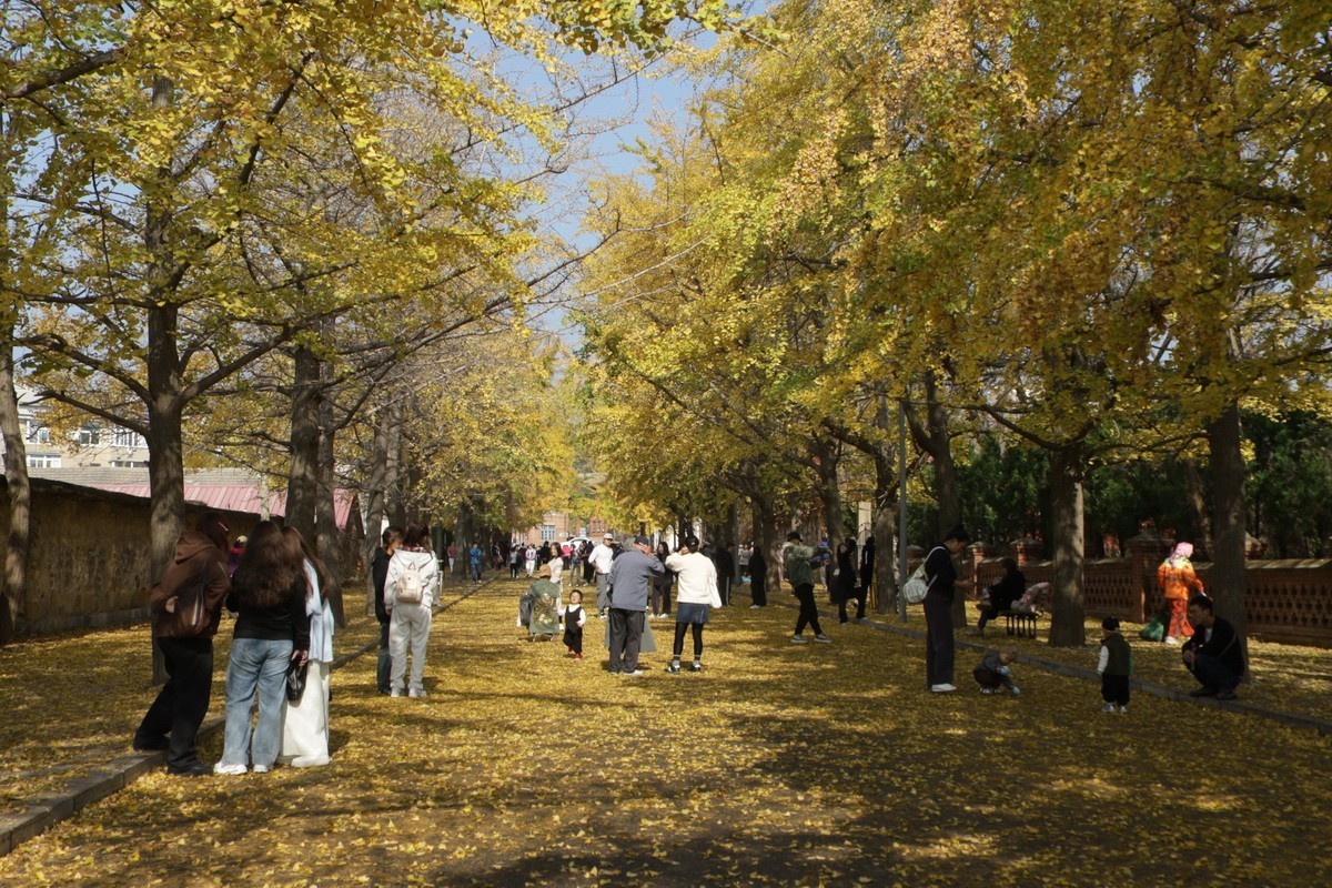 滨城游拍——旅顺太阳沟景区(2024-1)