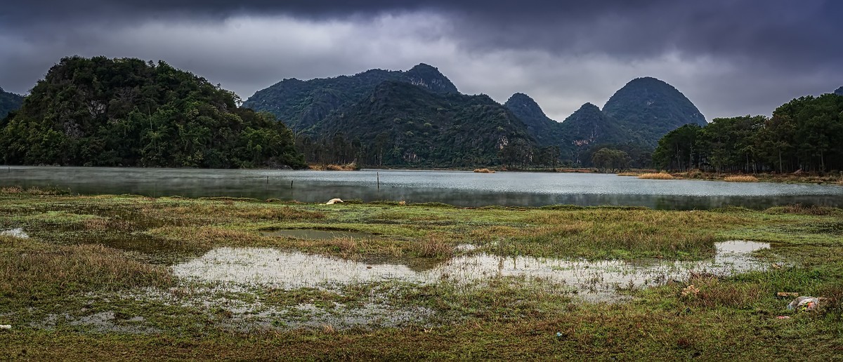 云南丘北 · 普者黑湿地