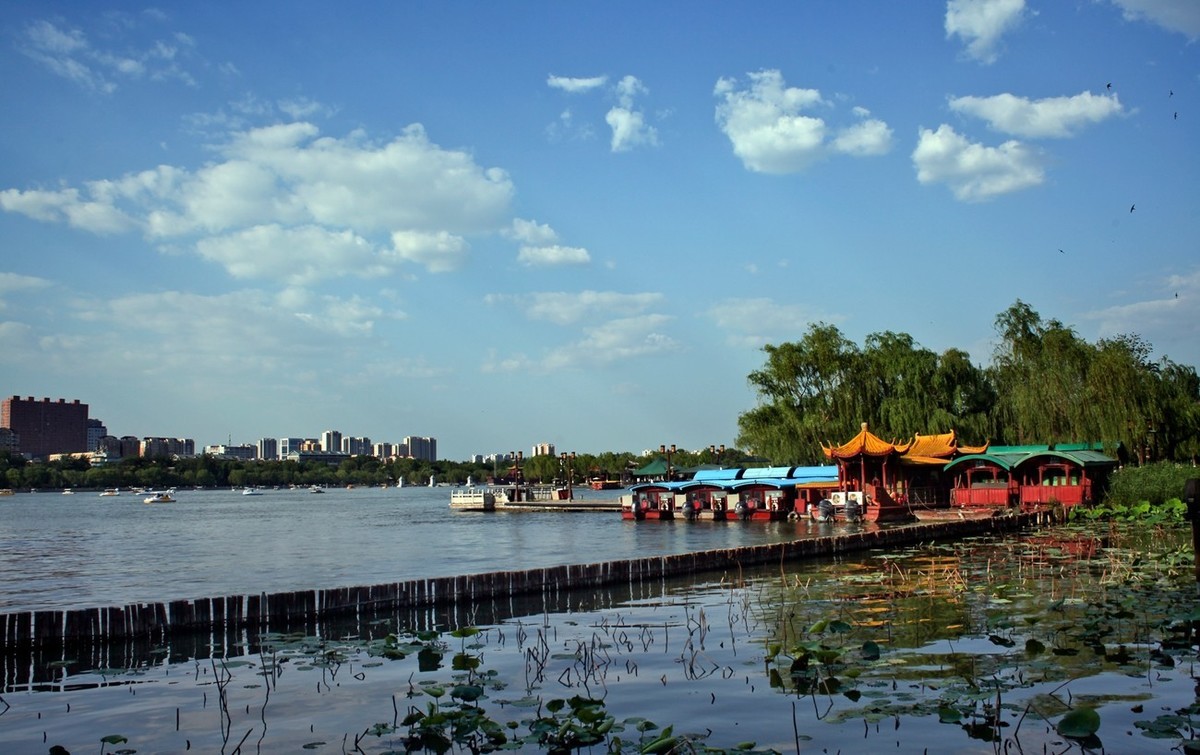 夏日——明湖杂拍