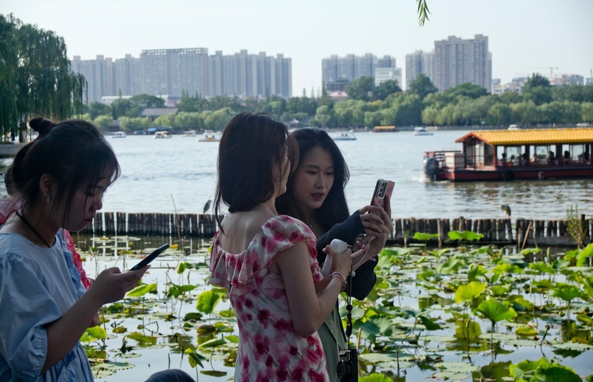 夏日——明湖杂拍