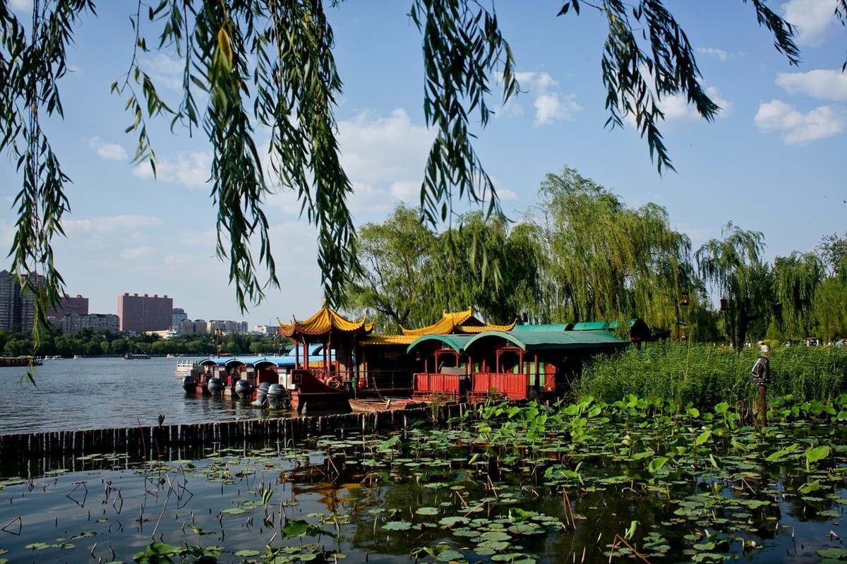 夏日——明湖杂拍