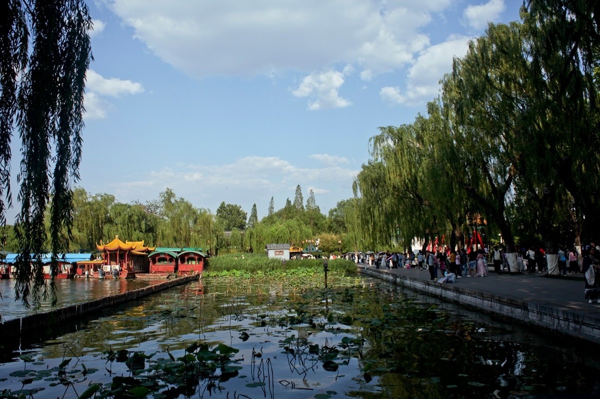 夏日——明湖杂拍