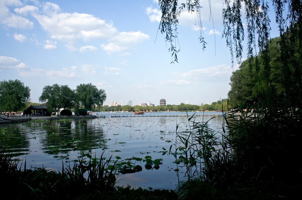 夏日——明湖杂拍