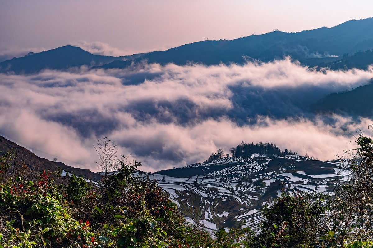 旅游记录 ：云南 · 红河 · 元阳 · 哈尼梯田 · 多依树片区