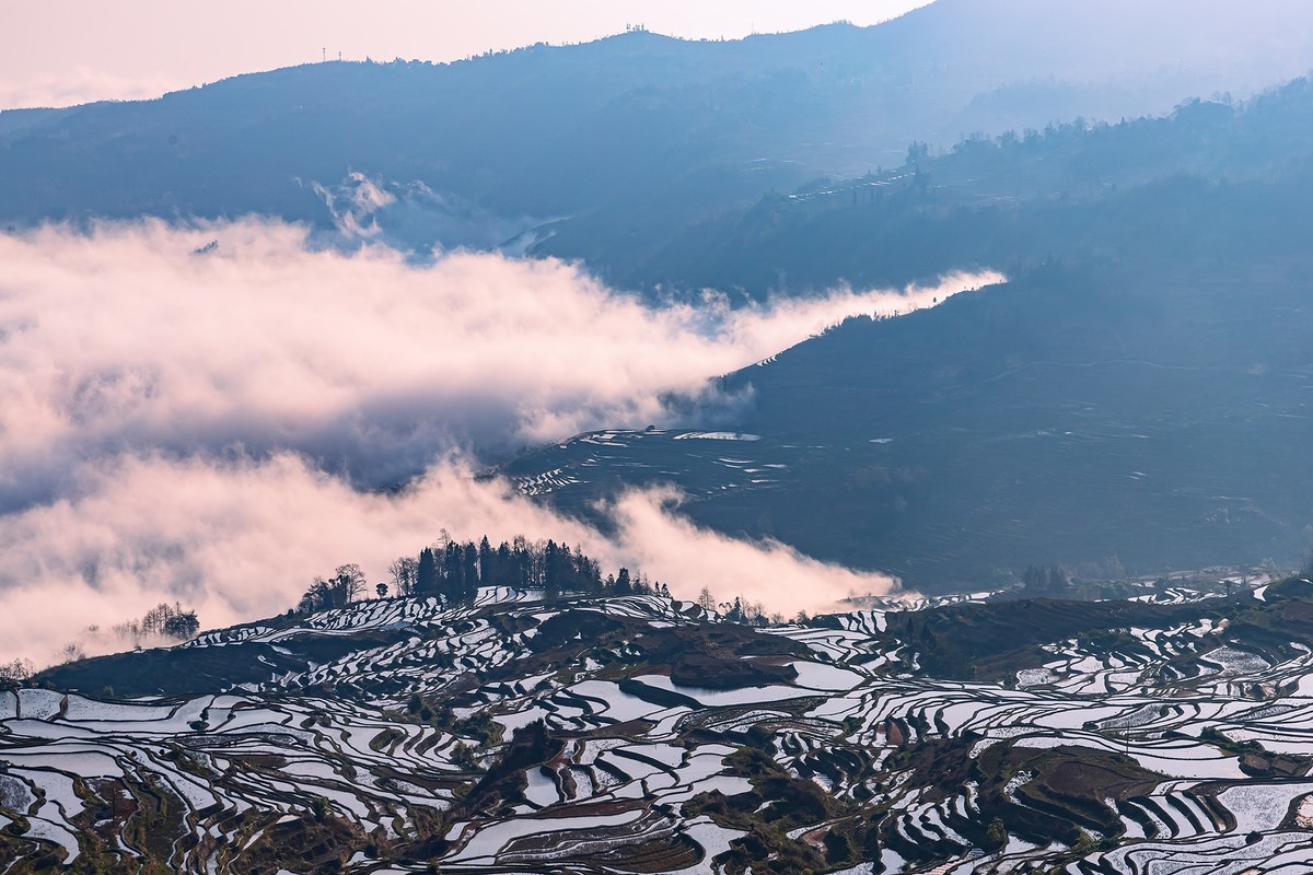 旅游记录 ：云南 · 红河 · 元阳 · 哈尼梯田 · 多依树片区