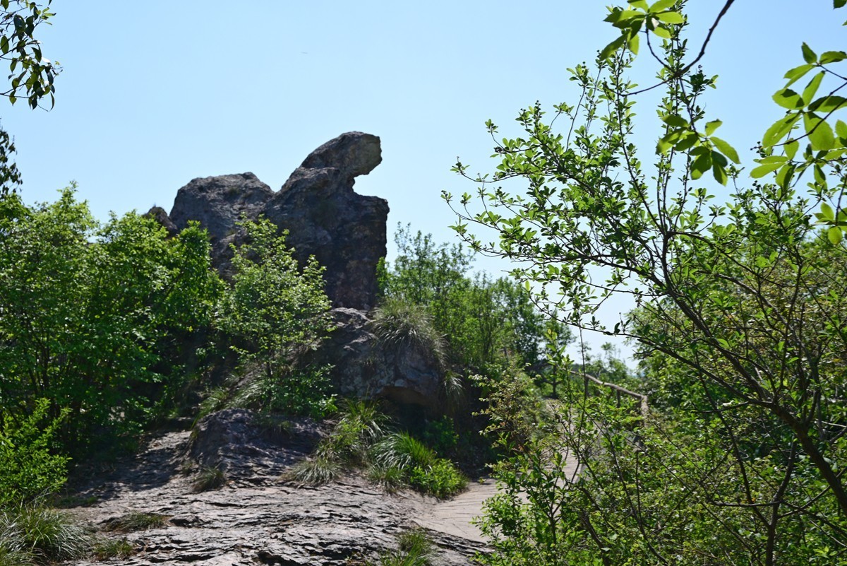 马仁奇峰（4完）