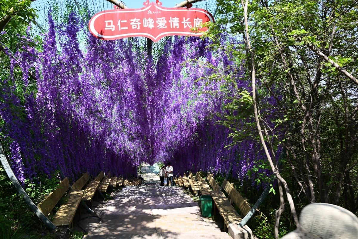 马仁奇峰（4完）