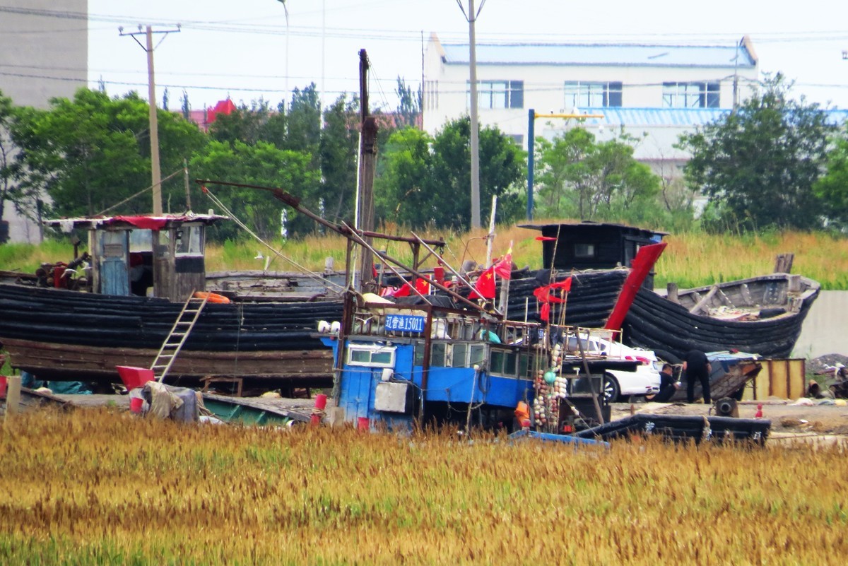 休渔期的四道沟渔港