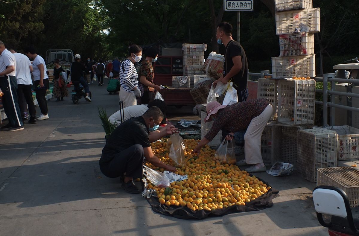 初夏早市掠影-22P