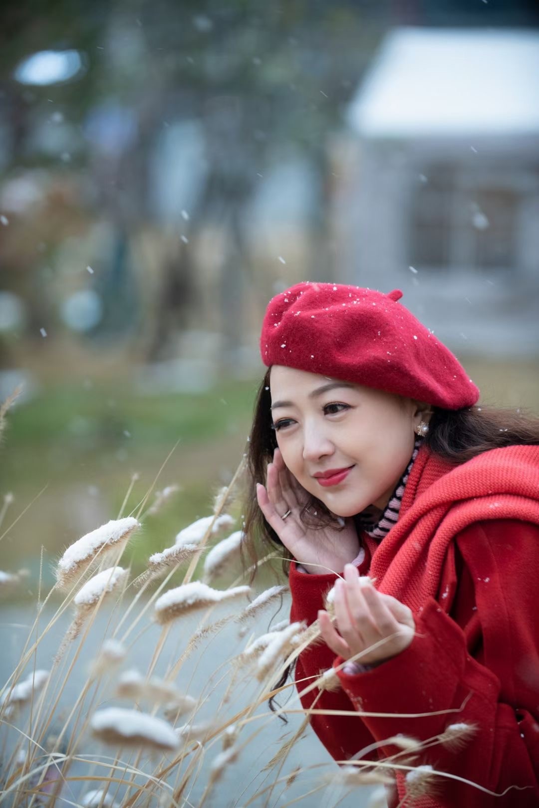 雪地中的小辛