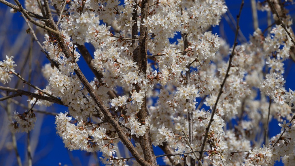 2023年春节风景随拍