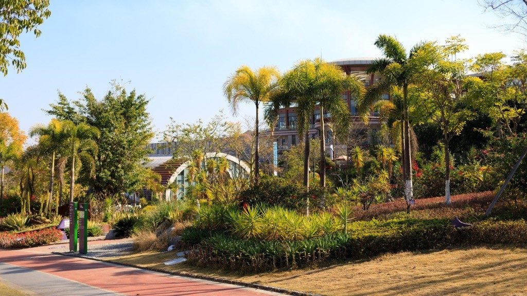 2023年春节风景随拍